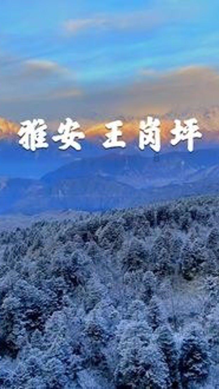 意大利威尼斯狂欢节开幕，“贡多拉”梦幻巡游