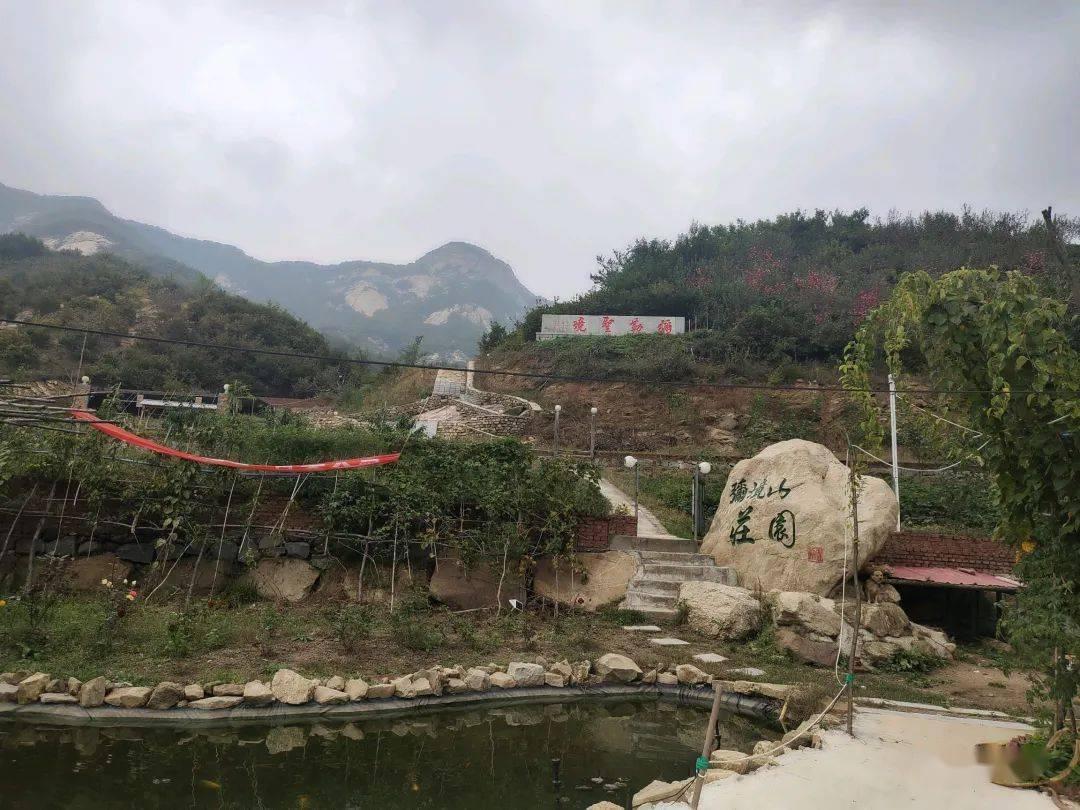探讨热门话题,畅游头被打破和警察发生肢体冲突算袭警吗?天涯问答平台