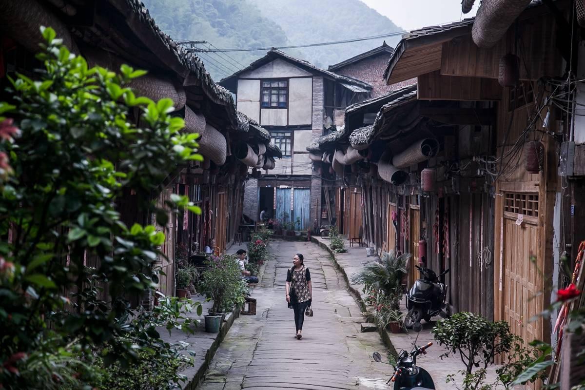 迷雾求生